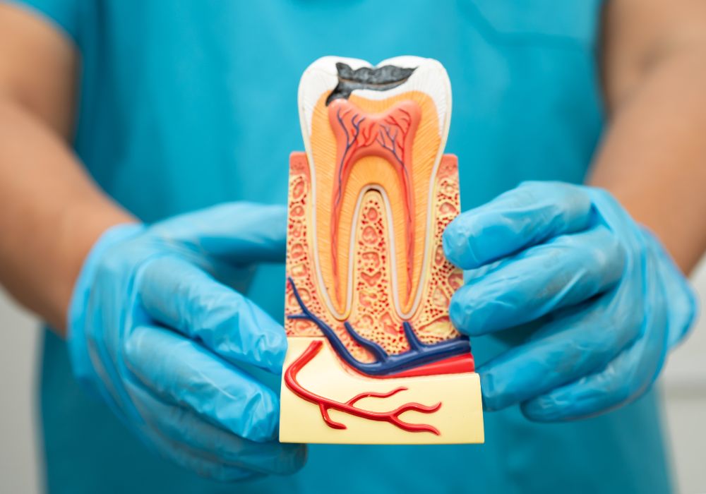Modern root canal treatment Northcote - Ocean View Dental